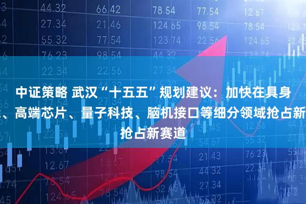 中证策略 武汉“十五五”规划建议：加快在具身智能、高端芯片、量子科技、脑机接口等细分领域抢占新赛道